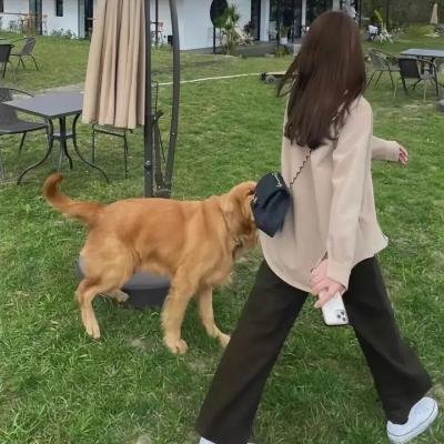潘尼沃斯第一季