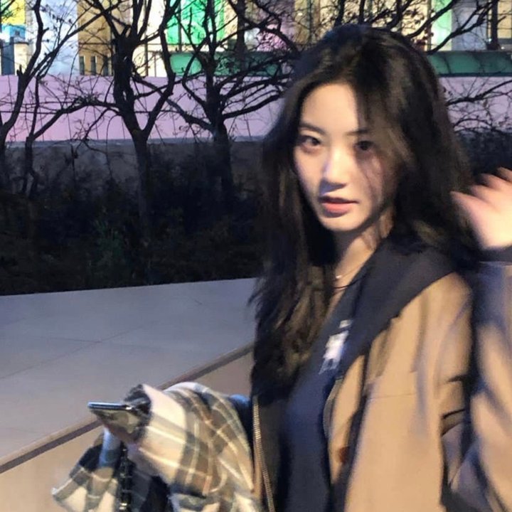 春曲丽影